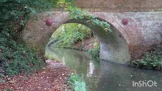 Basingstoke Canal reels sarvajitnm trending song youtube trending feed feedshorts walking [upl. by Tita]