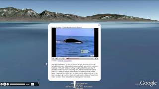 Explore the Ocean in Google Earth with Sylvia Earle [upl. by Theo]