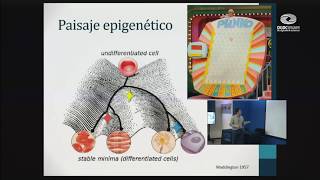 Epigenética estudios y aplicaciones [upl. by Atnoid]