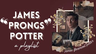 ❝Whats life without a little risk❞  a james potter playlist [upl. by Grindle314]