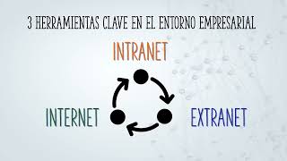 Intranet Extranet e Internet Herramientas Clave en el Entorno Empresarial [upl. by Chicky]