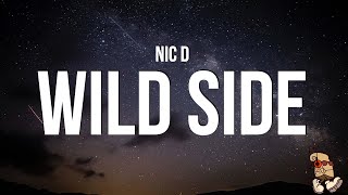 Nic D  Wild Side Lyrics [upl. by Hercule]