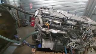 Used 2017 Detroit Diesel DD15 Engine Test Run 50019880 [upl. by Napier164]