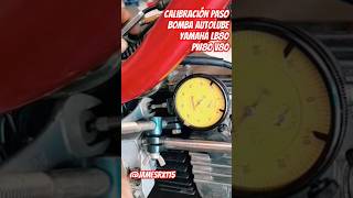 calibrar paso aceite bomba autolube 2t moto yamaha chappy lb80 lb50 pw80 v80 técnico [upl. by Abernathy443]