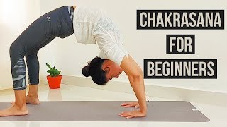 Chakrasana for Beginners l with preparatory poses l Archies Yoga [upl. by Nahgrom]