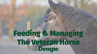 Webinar Feeding amp Managing The Veteran Horse [upl. by Ailime]