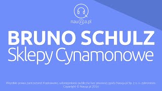 SKLEPY CYNAMONOWE – Bruno Schulz – streszczenie i opracowanie lektury  audiobook nauqa [upl. by Nalat]