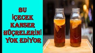 ARTIK KANSERİN ÇARESİ VAR KOMBUCHA ÇAYI ÖLÜMSÜZLÜK İKSİRÇAYİ [upl. by Einahets]