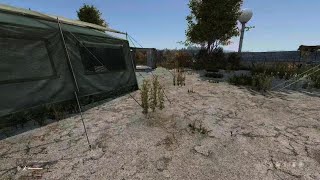 DayZ20241026134512 [upl. by Melba]