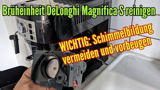 Delonghi Magnifica S Brühgruppe reinigen und Schimmel vermeiden und vorbeugen [upl. by Eidur616]