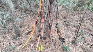 Recurve or Longbow What is best for a Beginner [upl. by Thorstein]