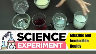 Experiment on Miscible and immiscible liquids  Science Experiment 1  Easy Chemistry Experiments [upl. by Roobbie176]