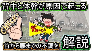 【岡山の筋膜整体】背中と体幹が原因で発生する首コリや肩コリそして腰痛について簡単に解説！ [upl. by Nuawaj]