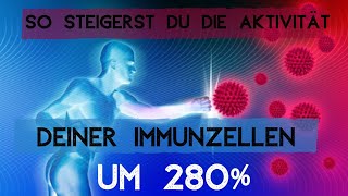 Transferfaktoren  Intelligente Immunzellen Revolution in der Molekularbiologie Funktion Wirkung [upl. by Reichert]