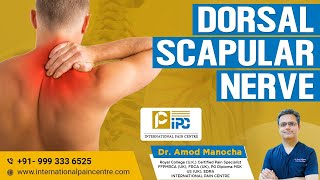 DORSAL SCAPULAR NERVE [upl. by Brander641]