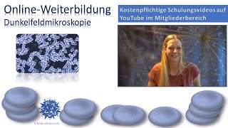 Kostenpflichtige online DunkelfeldMikroskopieSchulungsVideos auf YouTube über eine Mitgliedschaft [upl. by Flory]