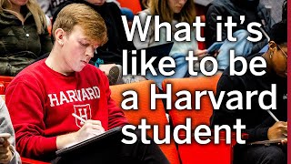 What its like to be a Harvard Student  FirstYear Studying Government Rural Student [upl. by Elsbeth227]