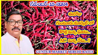 నవంబర్182024 TODAY GUNTUR MARKET MIRCHI RATES ఈరోజు గుంటూరు మార్కెట్ లో మిర్చి ధరలుDRY CHILLIES [upl. by Namor344]