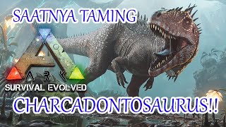 TAMING CARCADONTOSAURUS COUPLE Ark Survival Evolved The Island 14 [upl. by Gintz860]