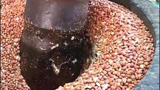 Peanut Oil Making In Factory [upl. by Nova]