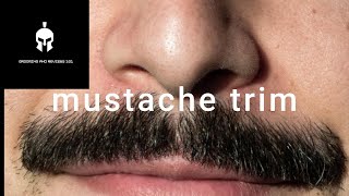 mustache trim [upl. by Tterrej]