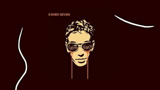 Shed Seven  On Standby Liquid Gold Version Official Audio [upl. by Leroj]