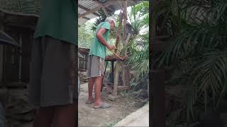 mbS1174 Manhole Cover Rebars Cutting youtubeshorts trendingshorts tutorial manholecover [upl. by Hungarian]