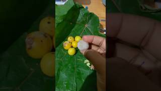 ഒരു verity ഫ്രൂട്ട്🤔 shorts fruits fruit ownvoice mallugram reels fruitcutting [upl. by Ihculo684]