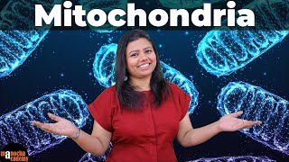 Mitochondria Structure and Function [upl. by Redle218]