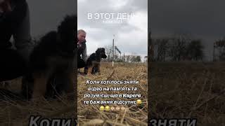 Щоб зняти повне відео завжди було купа експромтів 😆😆😆 [upl. by Ailatan503]