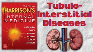 TUBULOINTERSTITIAL DISEASES  Causes  Pathogenesis  Clinical Features  Treatment  Harrison [upl. by Lefty672]