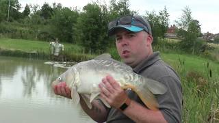 Big Carp In The Margins With The Shimano Beast Master [upl. by Belac]