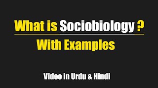 What is Sociobiology with easy examples Urdu  Hindi [upl. by Ahsoem974]