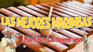 Marimba Chiapas El Bodeguero Colección iLatina Full AlbumAlbum Completo ✔ las mejores marimbas [upl. by Charbonneau]