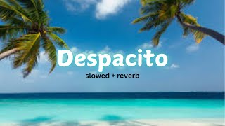 Despacito  slowed  Reverb [upl. by Idnahs]