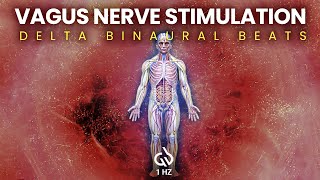 Vagus Nerve Stimulation amp Healing 1 Hz Delta Binaural Beats Healing [upl. by Lorenza]