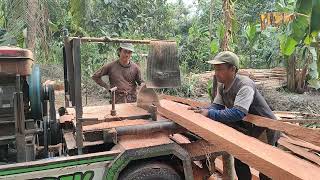 Kayu kelapa tua sangat bagus dibuat balok rumah digergaji dengan mesin gergaji serkel keliling ‼️ [upl. by Yetak308]