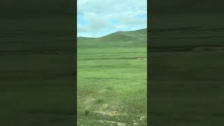 July Landscape in Mongolia [upl. by Adieno]