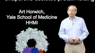 Arthur Horwich YaleHHMI Part 1B Chaperoneassisted protein folding [upl. by Hanyaz583]