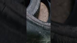 Tyres Sale secondhand tyre Size 195 65 r16 [upl. by Haidebez]