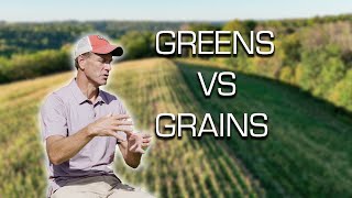 Bill Winkes TOP Food Plot Strategy [upl. by Relyuhcs861]