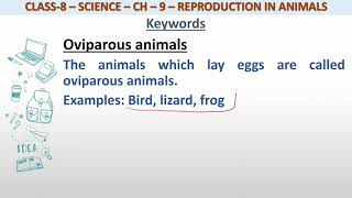 Definition of Oviparous animals for class 8 science [upl. by Eelyk]