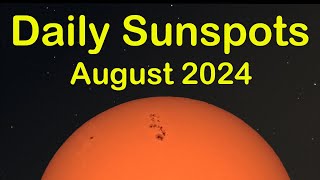 Daily Sunspot Time lapse  August 2024 [upl. by Horowitz671]