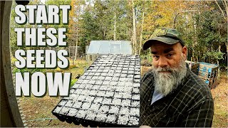 Seeds to plant in winter  unheated greenhouse tour [upl. by Oakie]