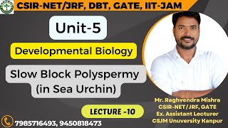 SlowBlockPolyspermy seaurchin developmentalbiology  L10 𝐆𝐞𝐧𝐞𝐬𝐢𝐬 𝐈𝐧𝐬𝐭𝐢𝐭𝐮𝐭𝐞 𝐨𝐟 𝐋𝐢𝐟𝐞 𝐒𝐜𝐢𝐞𝐧𝐜𝐞𝐬 [upl. by Ulyram]