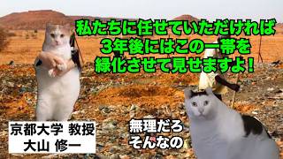 【サハラ砂漠 緑地化】なぜ砂漠にゴミとフンを捨てるのか？京大教授による砂漠緑化プロジェクト 猫マニ 猫ミーム [upl. by Nylirahs]