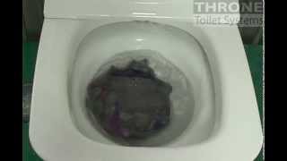 Throne toilet bidet flush test [upl. by Pihc679]