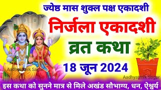 Ekadashi Vrat Katha  एकादशी व्रत कथा  Nirjala Ekadashi Vrat Ki Katha  Nirjala Ekadashi 2024 [upl. by Daisi]