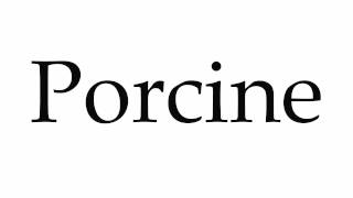 How to Pronounce Porcine [upl. by Saturday]