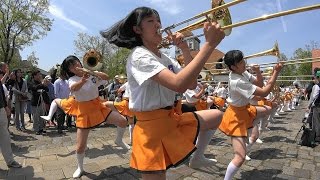 Blumen Hügel Parade2016  Sing Sing Sing  Kyoto Tachibana SHS Band [upl. by Netsuj4]